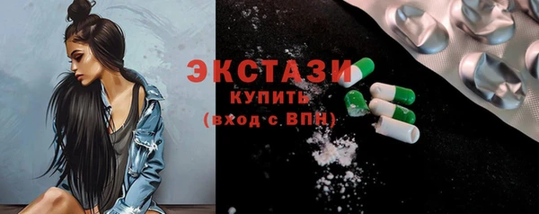 индика Каменка