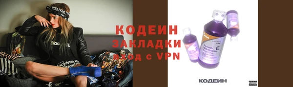 ПСИЛОЦИБИНОВЫЕ ГРИБЫ Алексин