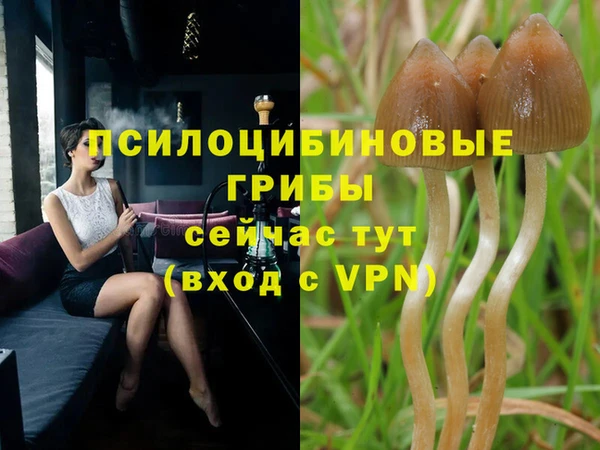 мяу мяу мука Алзамай