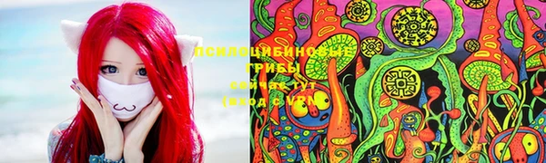стаф Алексеевка